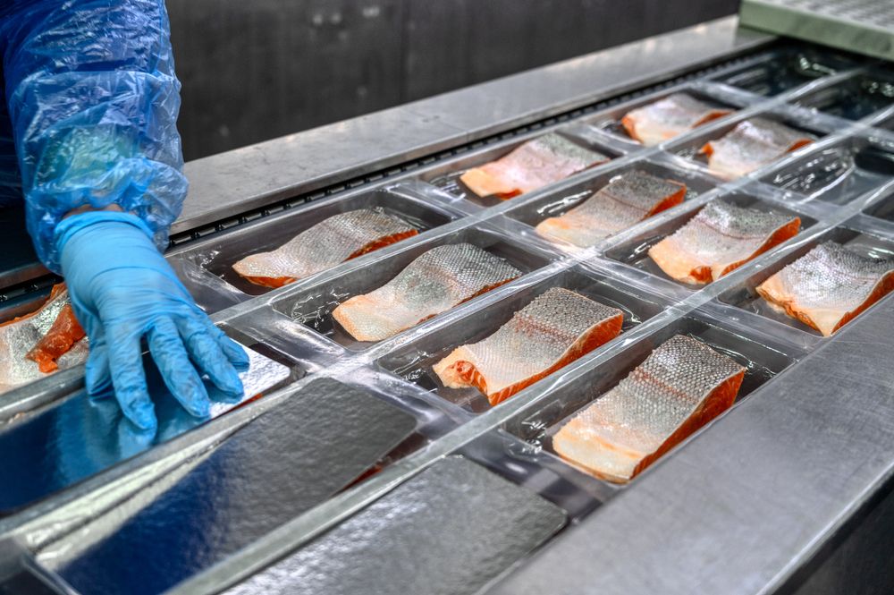На ПМЭФ подписали соглашение о продвижении отечественной рыбной продукции