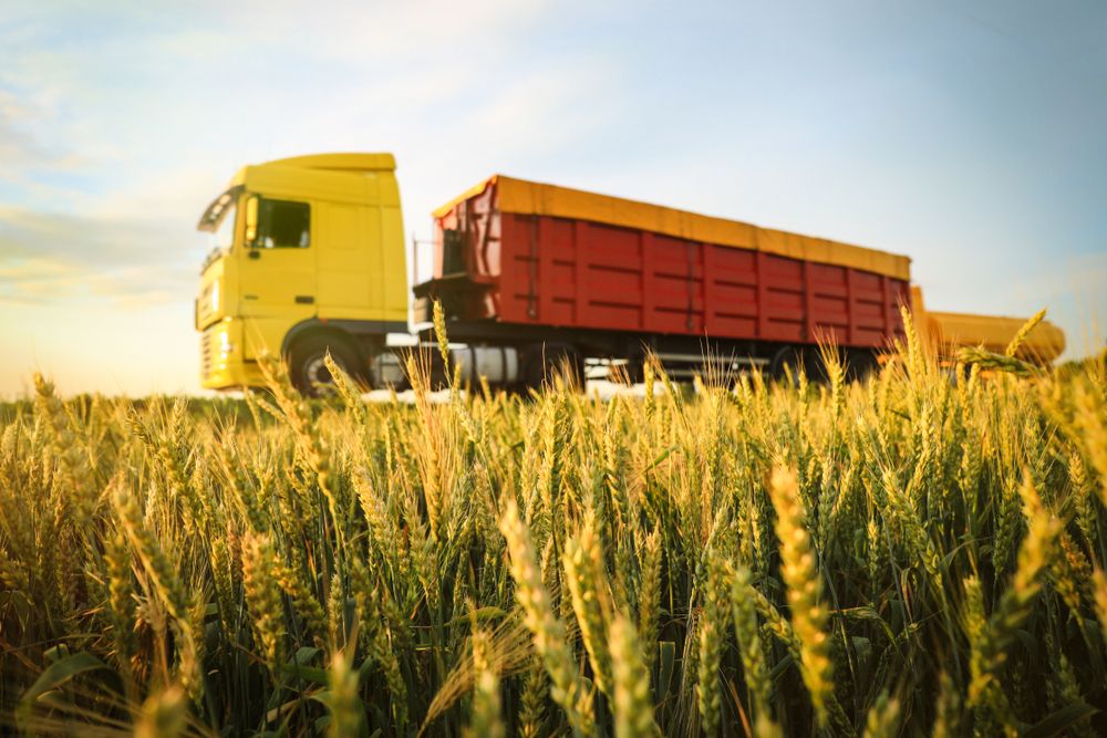 В России заявили о росте выручки от экспорта агропродукции почти на 25%