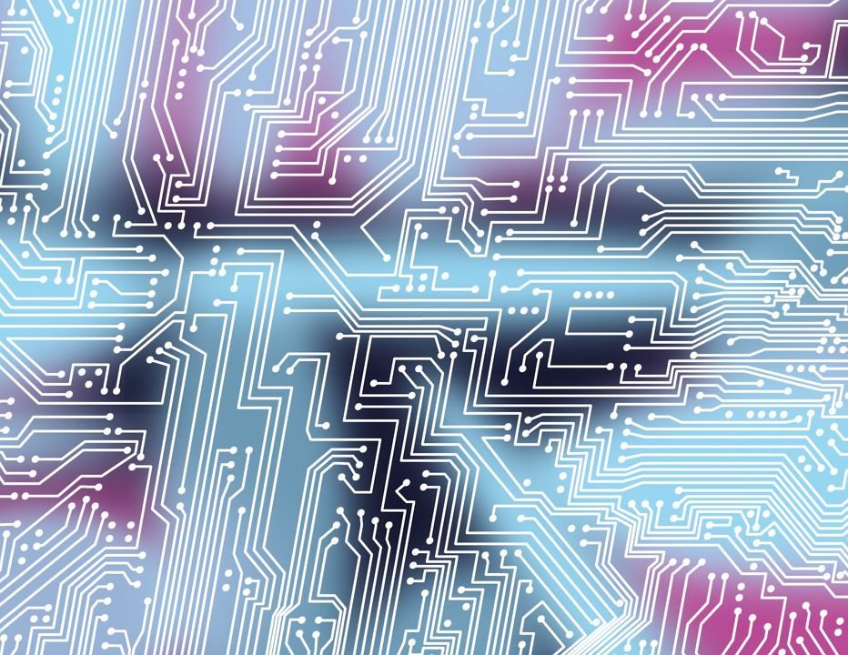 Микрочипы контролируют температуры птиц на птицефермах