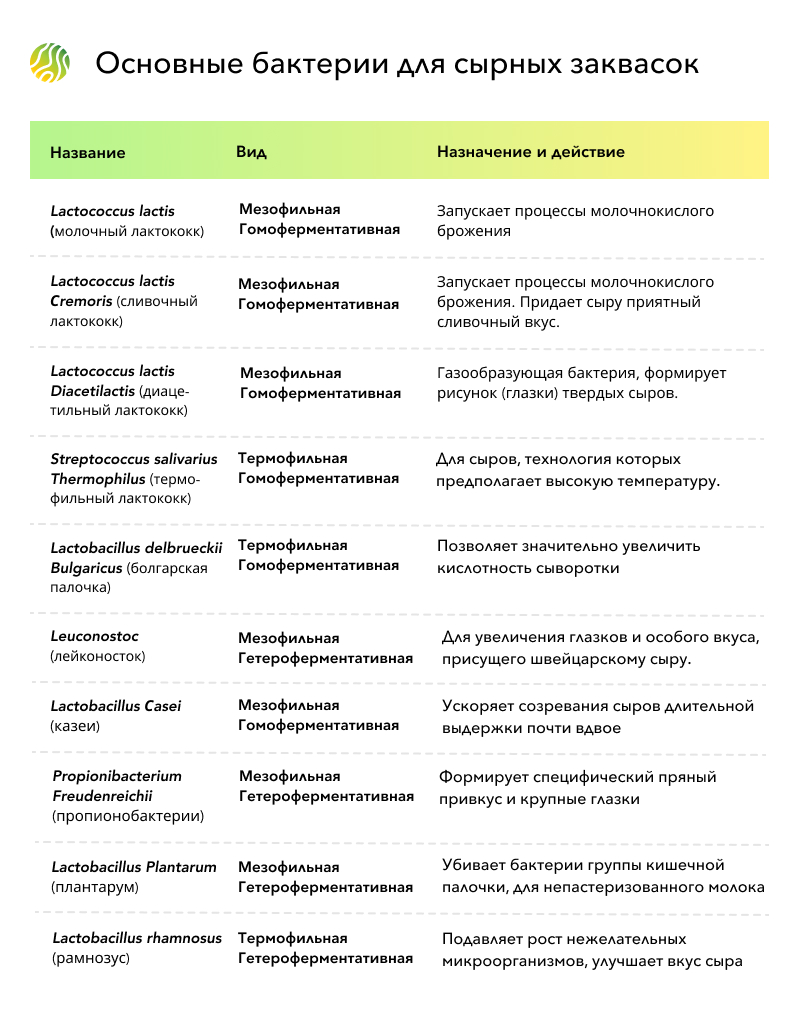 Выбираем закваску для сыра – Своё Фермерство
