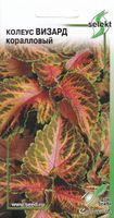 Колеус Визард, коралловый