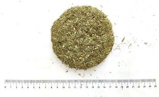 Лимонная трава (лемонграсс)