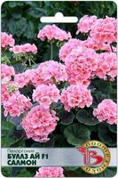 Герань (пеларгония) Буллз Ай F1 Салмон