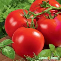 Семена Томат Патрис 0.1 грамма семян Русский Огород